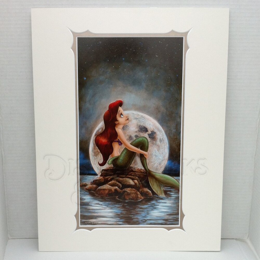 Disney Parks WonderGround Little Mermaid Ariel 14 x 18 inch Print Darren Wilson